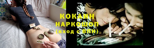 мдпв Новозыбков