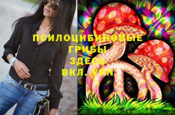 мдпв Новозыбков