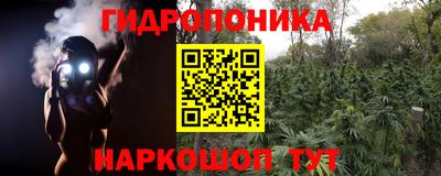 тгк Берёзовский