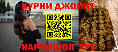 сатива Бийск