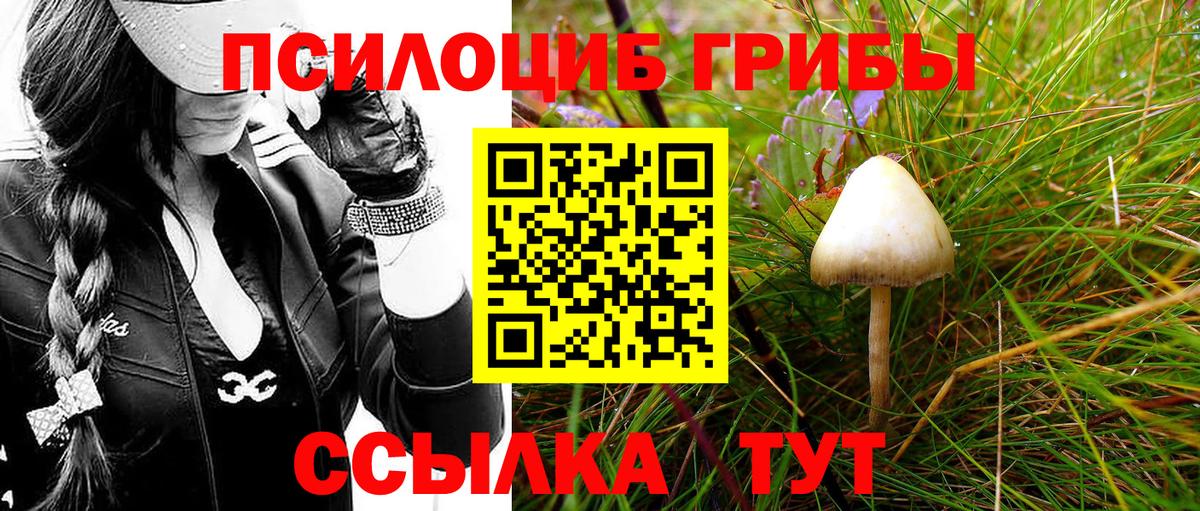 Галлюциногенные грибы Cubensis  Зеленогорск 