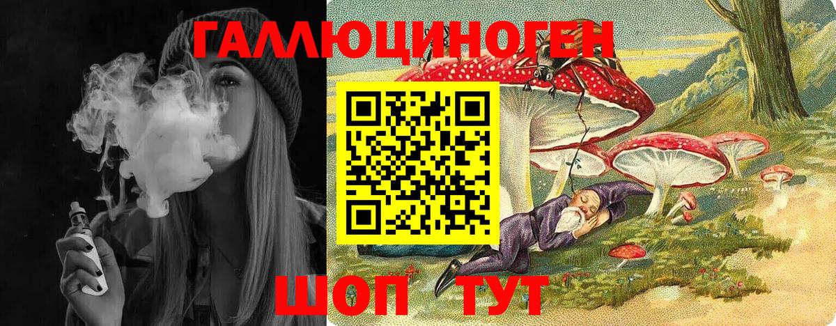 Галлюциногенные грибы GOLDEN TEACHER  Вход с VPN  Зеленогорск 
