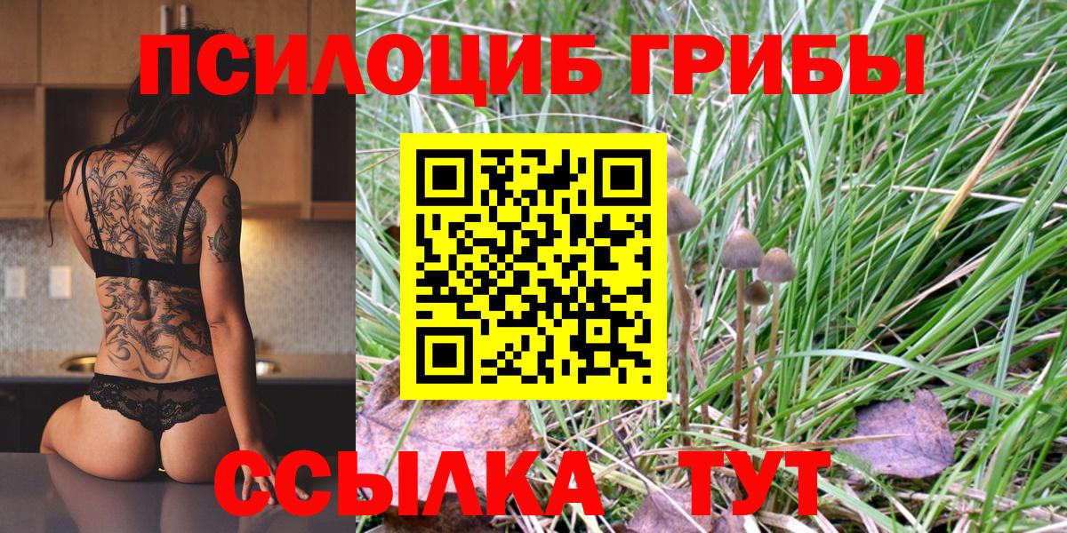 Псилоцибиновые грибы Cubensis Зеленогорск