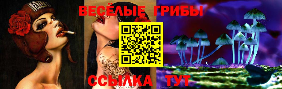 Галлюциногенные грибы мухоморы Зеленогорск
